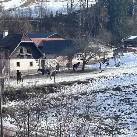 Apartmán Riegler Trattenbach (Lower Austria)