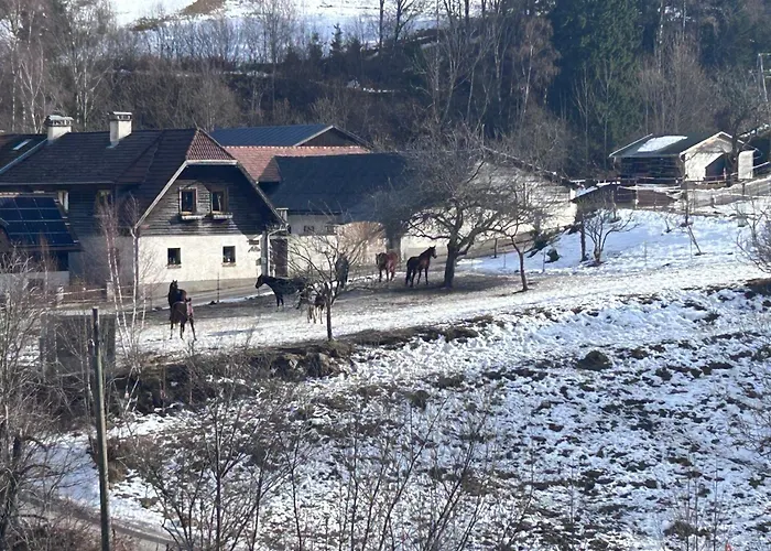 Apartment Riegler Trattenbach (Lower Austria)